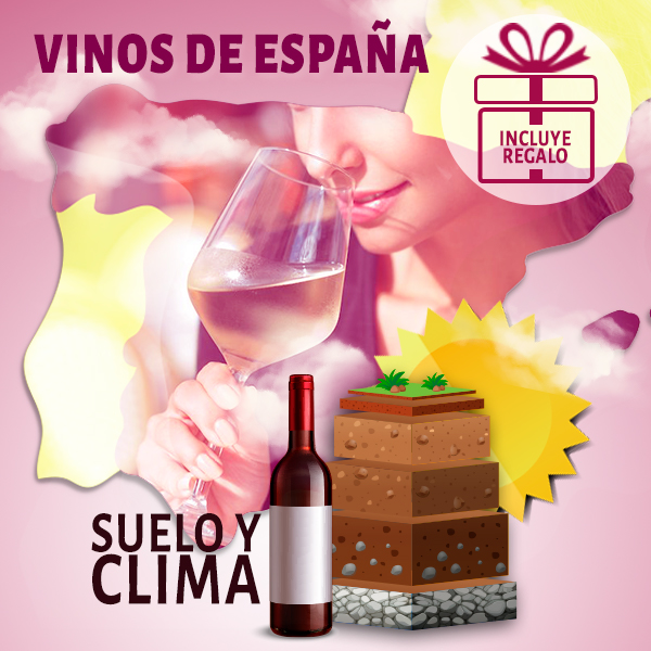 Curso de los Vinos de España